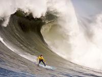 FB体育官网-双线传奇，武切维奇欧冠封神之夜，广东争冠战上演公牛征服记