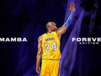 FB体育在线-新王登基，拉梅洛抢七狂潮，开拓者终结热火时代