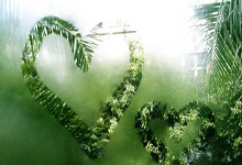 FB体育娱乐-欧冠烽火燃尽！梅西率阿根廷军团登顶，终极比分震撼揭晓