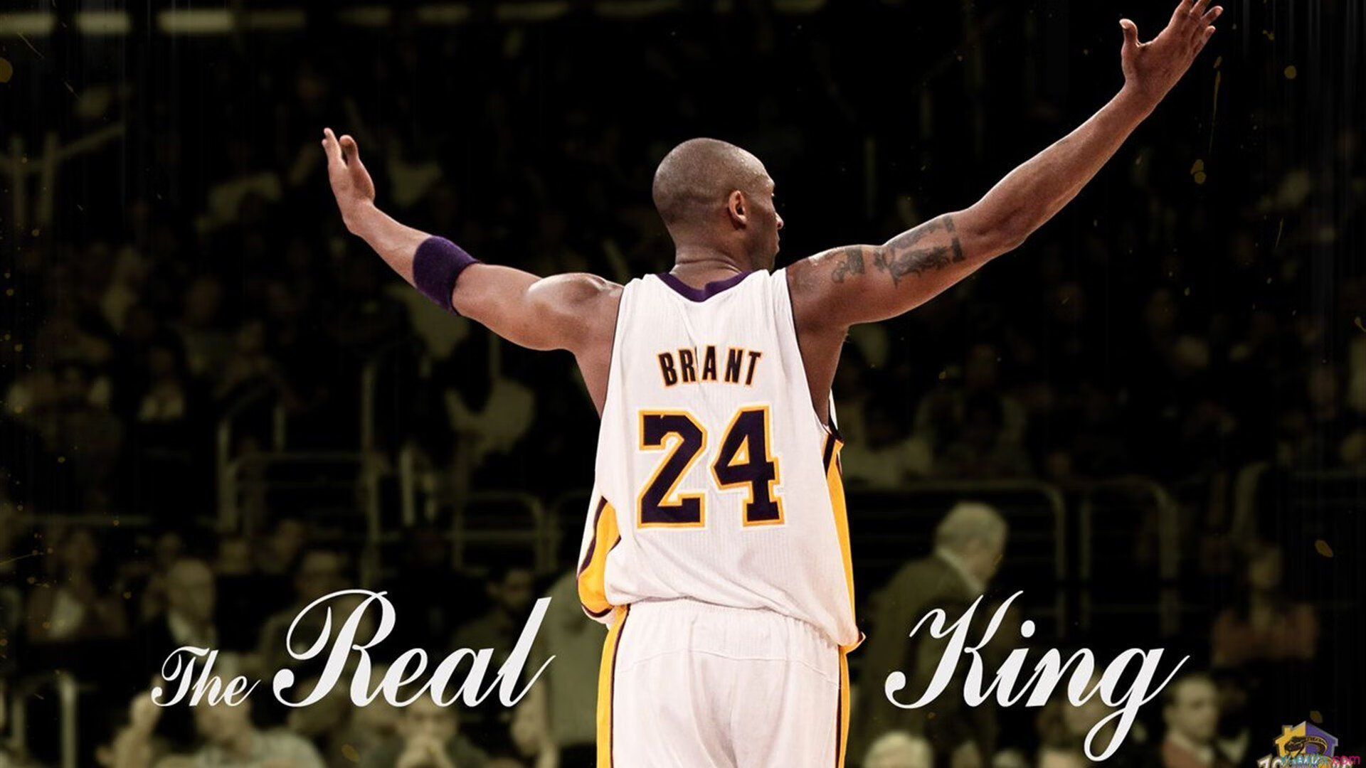 戈麦斯终场绝杀引爆全场，乌克兰黑马粉碎勒沃库森51场不败神话